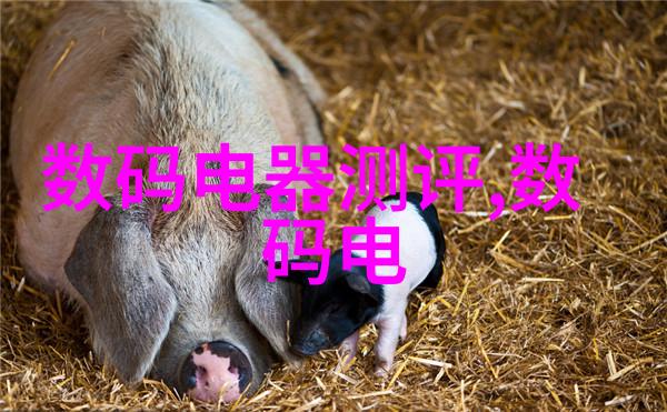 法兰式气动角座阀 常闭气动角座阀