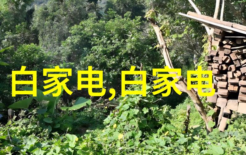 冷凝锅炉怎么进行定期检查